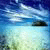 maestrossl